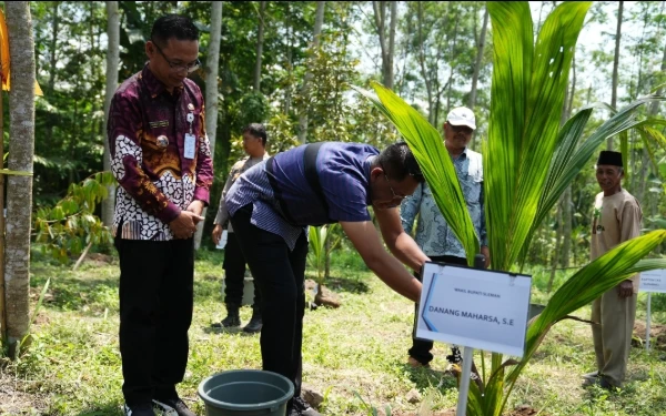 Thumbnail Berita - Pimpin Penanaman Kelapa Hibrida, Wabup Sleman Sebut Kelompok Tani Ujung Tombak Kesejahteraan
