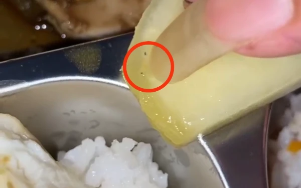 Thumbnail Berita - Lagi, MBG yang Diterima Siswa SMK di Tuban Berisi Ulat