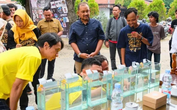 Thumbnail Berita - Ratusan Pecinta Ikan Guppy Ramaikan Guppy Contest Nasional Piala Bupati Pemalang 2025