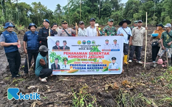 Thumbnail Berita - Desa Baru Halmahera Selatan Tanam Jagung Sehektar Dukung Ketahanan Pangan Nasional