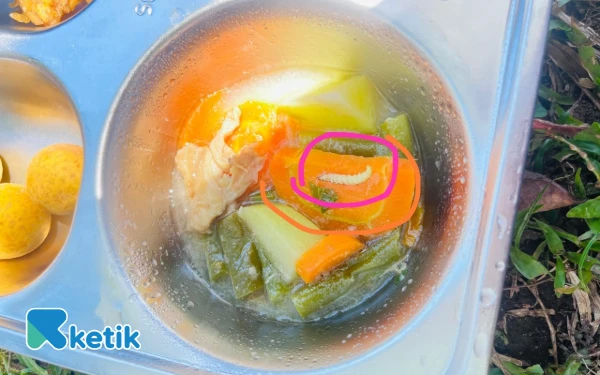 Thumbnail Berita - Heboh! Siswa di Abdya Temukan Ulat di Sayur Makanan Bergizi Gratis
