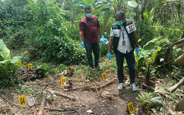 Thumbnail Tulang Belulang Ditemukan Warga di Areal Perkebunan Pisang OKU Selatan, Polisi Lakukan Identifikasi