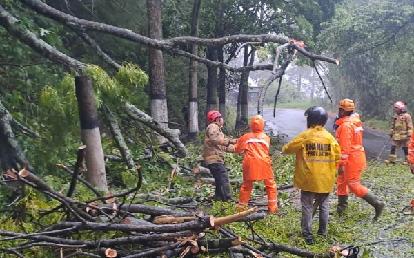Thumbnail ‎Pohon Tumbang di Kawasan Payung Ganggu Lalu Lintas Kota Batu Menuju Pujon