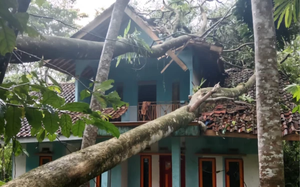 Thumbnail Pekan Ketiga Oktober, Sejumlah Wilayah di Indonesia Diterjang Banjir dan Angin Kencang