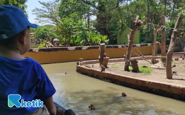 Thumbnail Tren Kunjungan Wisata di Jatim Naik, BPS Beberkan Dua Penyebabnya