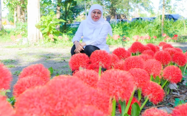 Thumbnail Berita - Bunga Desember Lebih dari Sekadar Indah, Gubernur Khofifah Ungkap Filosofi Mendalam di Baliknya