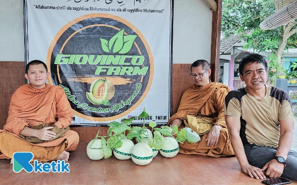 Politikus Blitar Banting Stir Jadi Petani Melon: Kebun Hidroponik Jadi Wisata Petik Cuan Jutaan