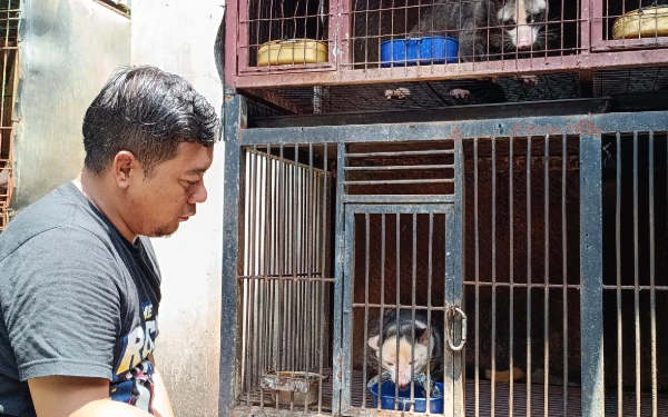 Thumbnail Berita - Dari Rugi Ratusan Juta ke Cuan Puluhan Juta, Galuh Ego Setiawan Sukses Budidaya Musang