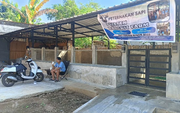 Thumbnail Bantuan Ternak Tak Cair, Poknak Bondowoso Keluhkan Kerugian Usai Buat Kandang