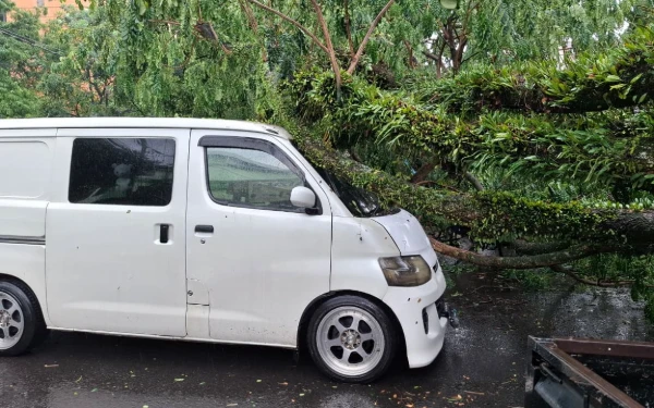 Thumbnail Tak Perlu Panik Pohon Tumbang, DLH Kota Malang Jamin Ganti Rugi hingga Rp15 Juta