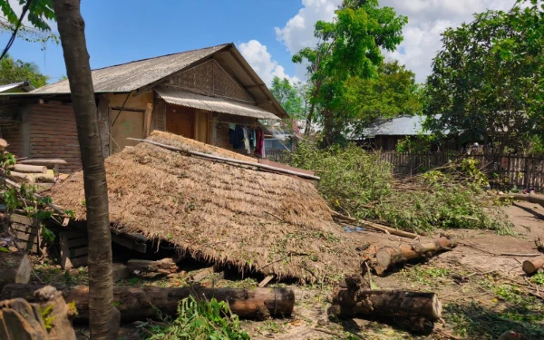 Thumbnail Rentetan Bencana Sepekan: BNPB Ungkap Dampak dari Puting Beliung hingga Kekeringan di Berbagai Daerah