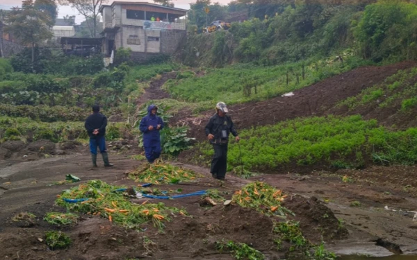 Thumbnail Tanah longsor Kepung Desa Sumberbrantas Kota Batu