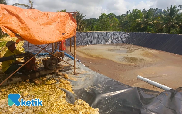 Thumbnail Berita - Fenomena Sertifikat 'Ajaib' 21 Hektare di  Peternakan Sapi Pencemar Kali Blitar Selatan, Sehari Jadi