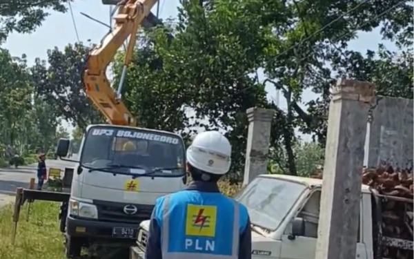 PLN Minta Maaf ke Pelanggan di ULP Jatirogo UP3 Bojonegoro, Diskon 50 Persen untuk Tambah Daya