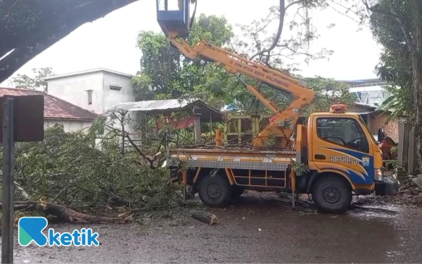Thumbnail Hujan Deras Robohkan Pohon Tua di 5 Ulu, Akses Jalan Lumpuh Tujuh Jam
