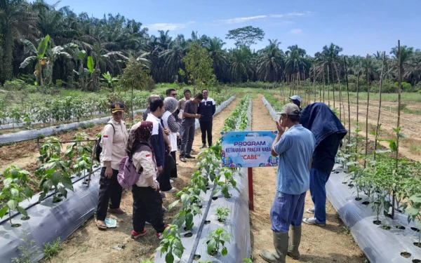 Desa Bukit Makmur Masuk 15 Besar Nasional Program BRILiaN 2025: Bukti Inovasi Tak Mengenal Batas