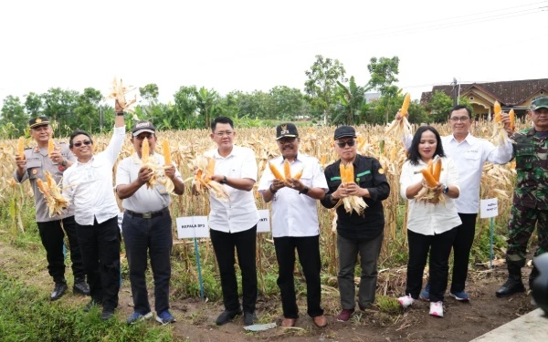 Thumbnail Berita - Wakil Bupati Sleman Dorong Kolaborasi Petani dan Pemerintah untuk Tingkatkan Produktivitas Jagung