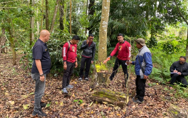 Buka Lahan dengan Cara Ilegal, Tiga Warga Kintamani Diringkus Usai Rusak 193 Pohon di Kawasan Hutan