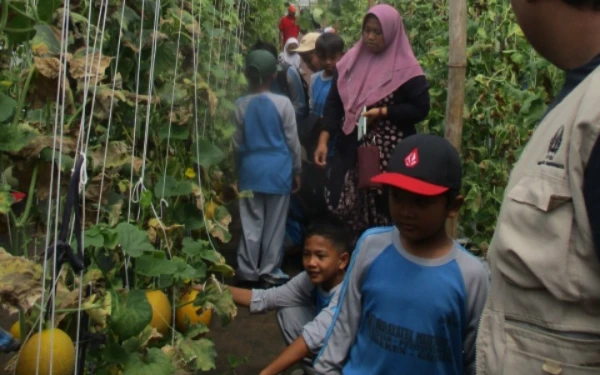 Thumbnail Berita - Pokdarwis Petiyintunggal Gandeng Mahasiswa KKN-T Unesa Gelar Agrowisata Petik Buah Melon