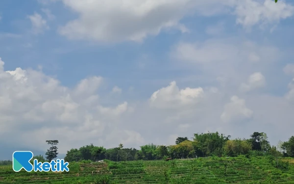 Thumbnail Cuaca Kota Semarang 18 November 2025 Hujan Ringan, Begitupun Kupang