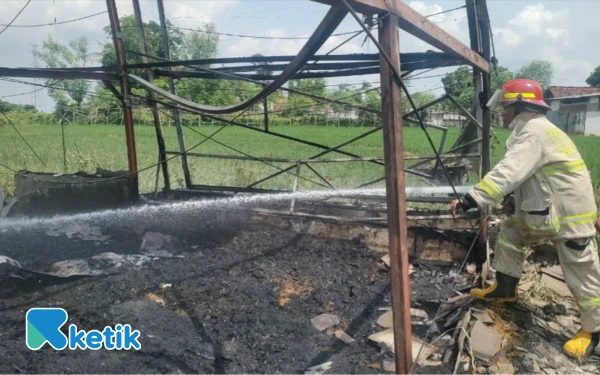 Thumbnail Berita - Belasan Ribu Ekor Ayam di Probolinggo Terbakar, Kerugian Capai Ratusan Juta