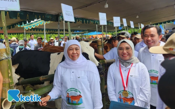 Thumbnail Gerakan Inseminasi Buatan Serentak Ternak Sapi di Jatim Pecahkan Rekor MURI
