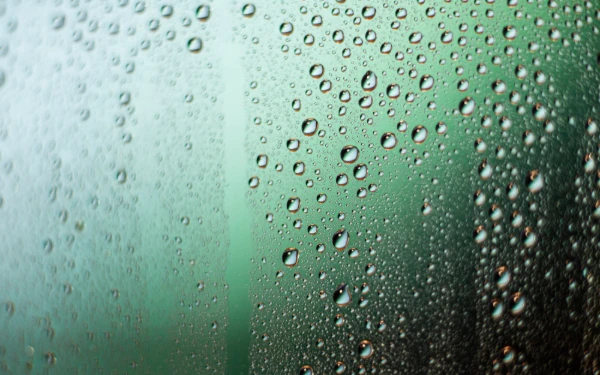 Thumbnail Kelembaban Udara Tinggi pada Akhir November 2025, BMKG Ungkap Penyebabnya