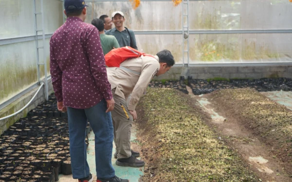 Thumbnail Berita - Dorong Penguatan Budidaya Kopi Lemukih, Distan Buleleng dan Petani Jaga Karakter Mutu Kopi