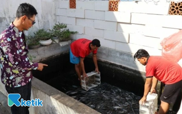 Thumbnail Berita - Warga Binaan Rutan Situbondo Panen Ikan Lele, Bukti Nyata Pembinaan Produktif