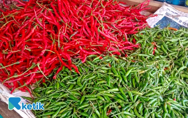 Thumbnail Berita - Harga Cabai Merah Simeulue 'Membara', Tembus Rp150 Ribu/Kg Akibat Cuaca dan Kapal Feri