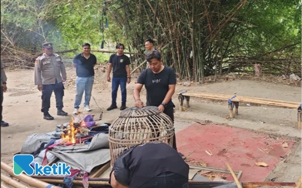 Thumbnail Berita - Warga Lapor, Polisi Tegal Sikat Habis Arena Sabung Ayam di Desa Tembok Luwung