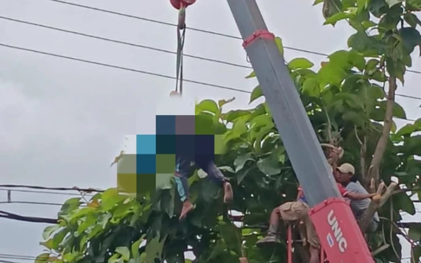 Thumbnail Berita - Warga Banyuurip Tewas Tersengat Arus Listrik di Lahan Pertamina EP Cepu