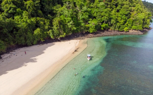 Thumbnail Akhir Tahun Membludak: Hotel Penuh, Kuliner Laris, Ekonomi Daerah Melesat!