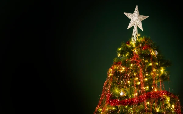 Thumbnail Sejarah dan Makna yang Tersimpan di Balik Gemerlap Pohon Natal