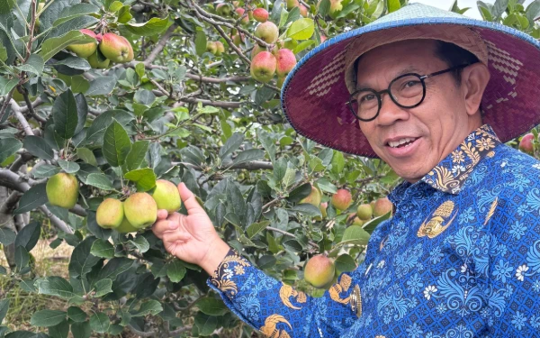 Thumbnail Berita - Gandeng BRIN, Distan-KP Kota Batu Siapkan Bibit Unggul untuk Selamatkan Apel