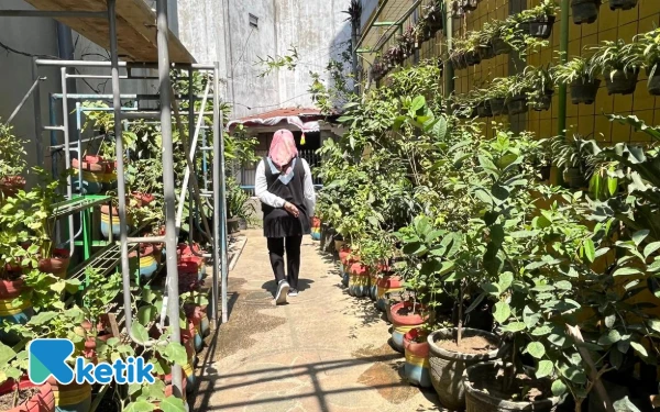 Thumbnail Tekan Stunting, Pemkot Malang Perkuat Ketahanan Pangan Keluarga Lewat Urban Farming