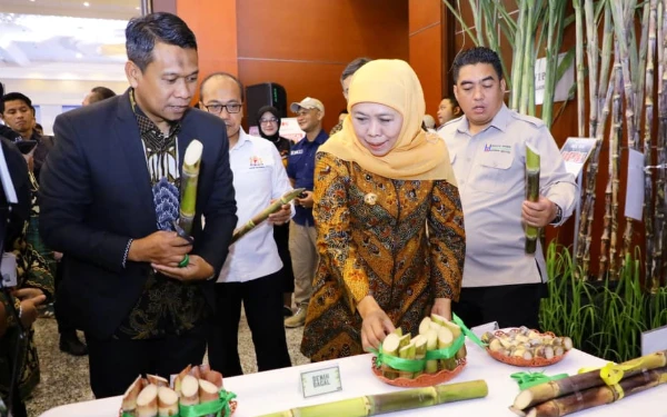Thumbnail Gubernur Khofifah Buka National Sugar Summit 2025, Ajak Sinergi Wujudkan Swasembada Gula