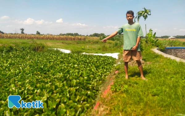 Thumbnail Berita - Sawah Rusak, Ganti Rugi Tak Jelas: Proyek IPAL Pabrik Tahu di Jombang Tinggalkan Luka Lingkungan