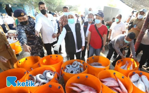 Thumbnail Berita - Pelabuhan Perikanan Probolinggo Berbisnis Tanpa HPL, Lahan Korupsi di Lingkaran Syahbandar ?