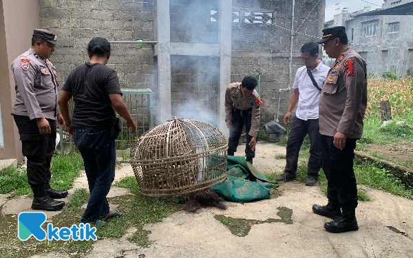 Polisi Bongkar Arena Sabung Ayam di Klampok, Polres Blitar Kota: Tak Ada Toleransi untuk Perjudian!