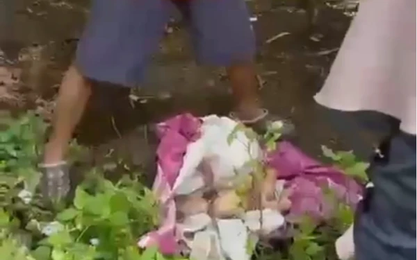 Thumbnail Berita - Kasus Bayi Dibuang di Jember, Mencuat Fakta Mutilasi dan Dibuang di Septic Tank