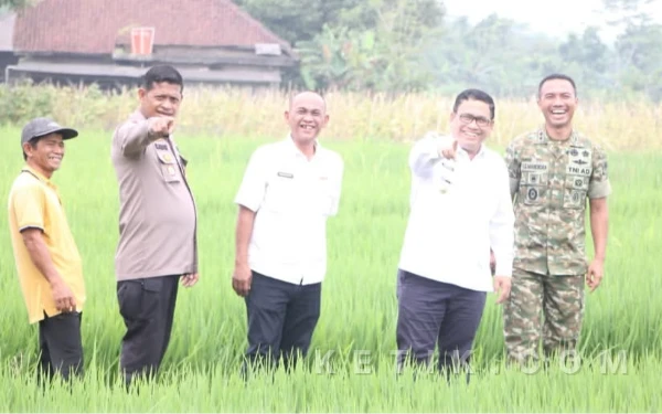 Thumbnail Berita - Wabub Lebak Hadiri Panen Raya dan Pengumuman Swasembada Pangan Nasional