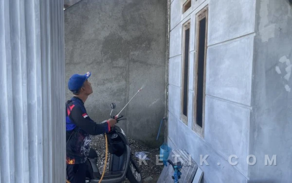 Thumbnail Berita - Serangga Tomcat Menjamur di Pringsewu, Bahkan Mulai Serang Warga