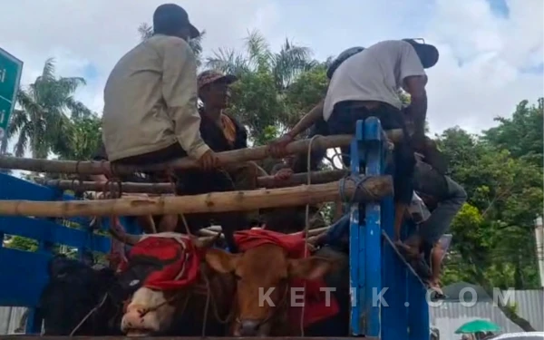 Pelaku Jagal Sapi Surabaya Mogok, Minta Pemkot Segera Tanggapi Tuntutan