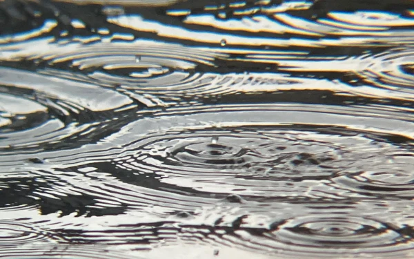 Thumbnail BMKG: Cuaca Kota Ternate 13 Januari 2026 Diprakirakan Hujan Sedang, Batam Cerah