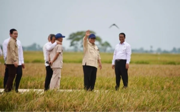 Thumbnail Berita - Gerindra Dorong Penguatan Produktivitas Petani, Fokus Mekanisasi dan Hilirisasi Pasca Swasembada Pangan