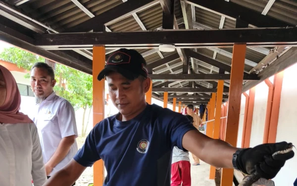 Thumbnail Berita - Ular Besar Ditemukan di Sekolah Rakyat Jember, Siswa Panik