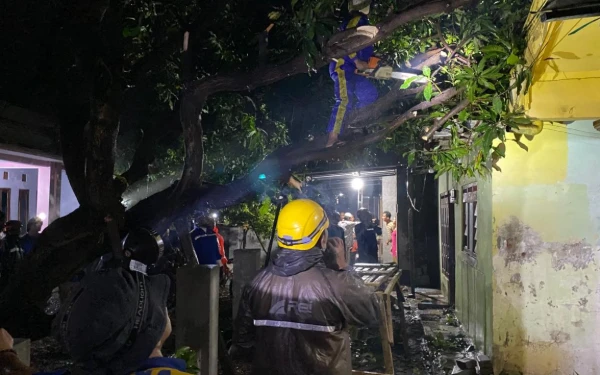 Thumbnail Banjir dan Angin Kencang Dominasi Kejadian Bencana, BNPB Imbau Waspada