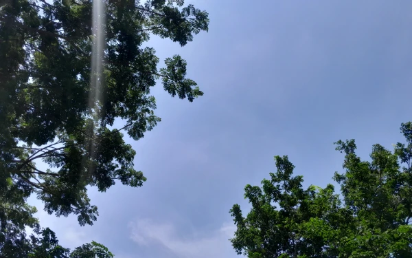 Thumbnail BMKG: Cuaca Kota Jakarta 24 Januari 2026 Diprakirakan berawan, Gorontalo Cerah