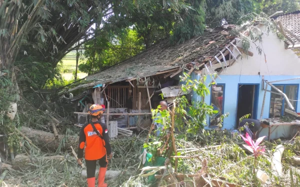 Thumbnail Berita - Angin Kencang Terjang 5 Kecamatan di Jember pada Dini Hari, Nenek 69 Tahun Patah Tulang
